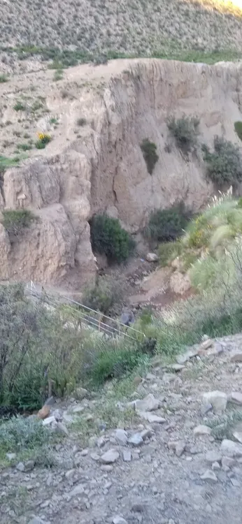 facebook punta corral 2024 (91)