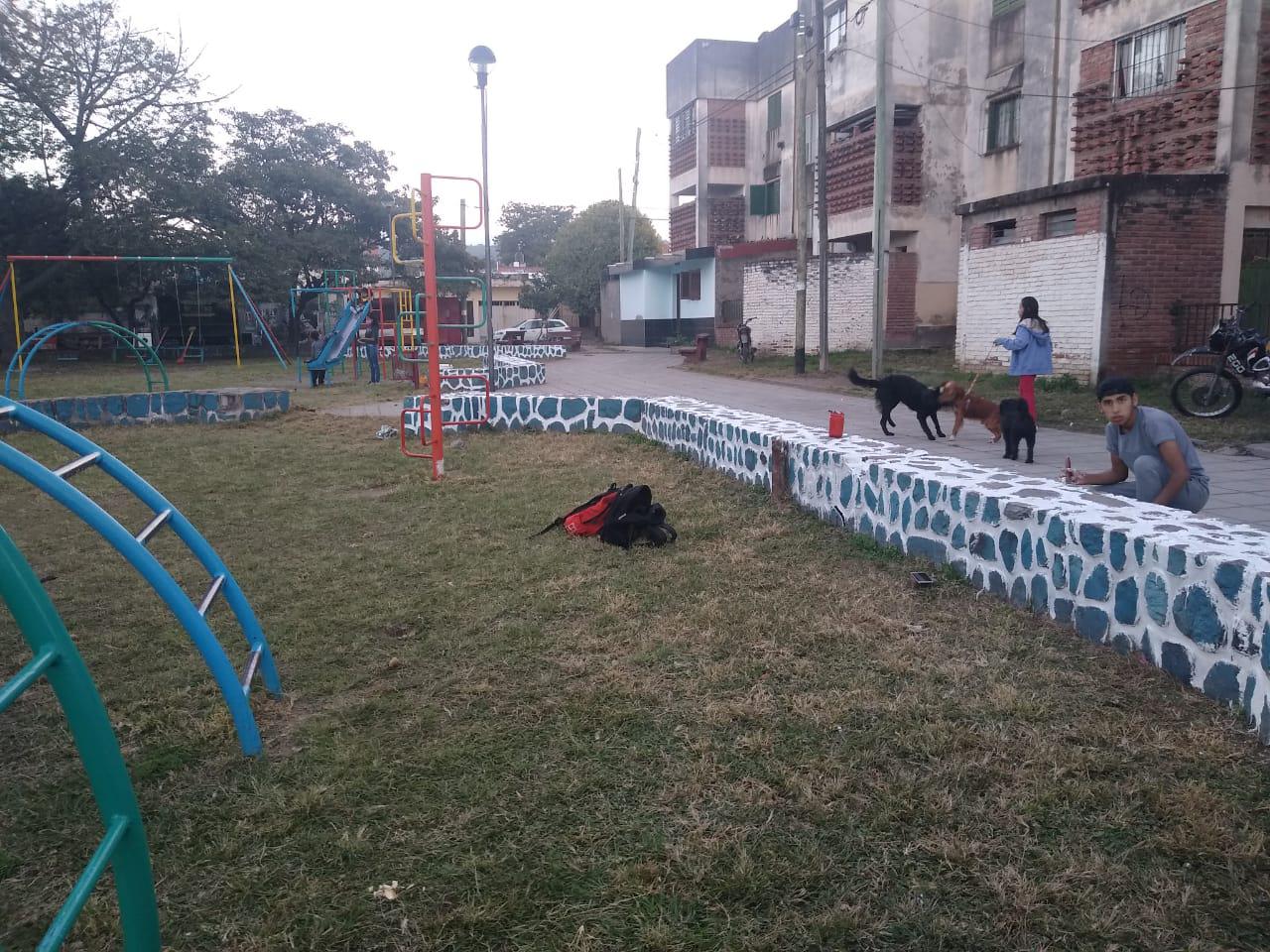 Plaza de Barrio San Pedrito arreglada por los chicos 002