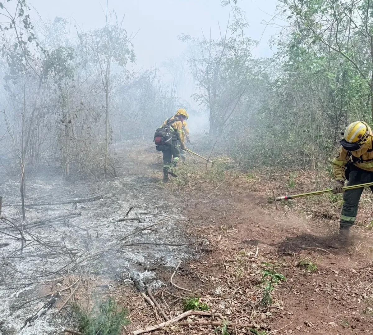 incendios forestal ledesma santa barbara2