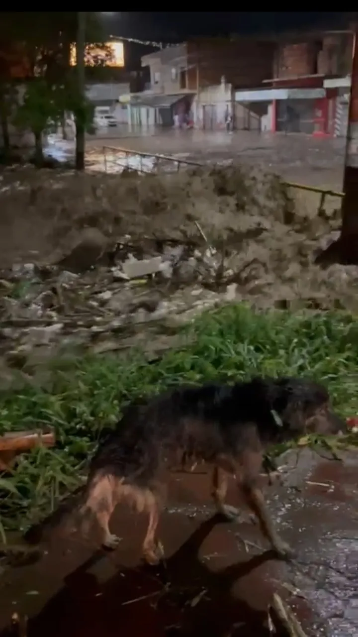 Screenshot_20240117-101802_WhatsApp