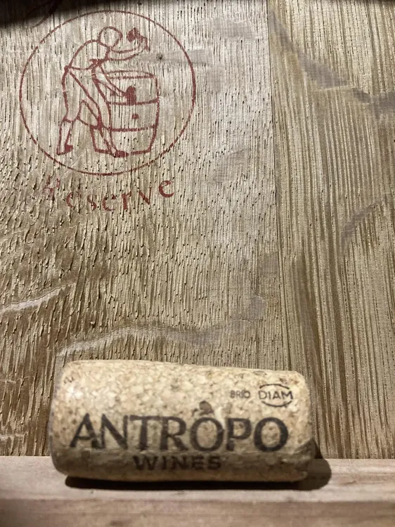 antopo wine bodega vinos