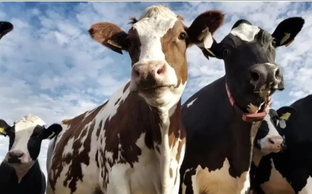 Screenshot_20220503-113433_Chrome