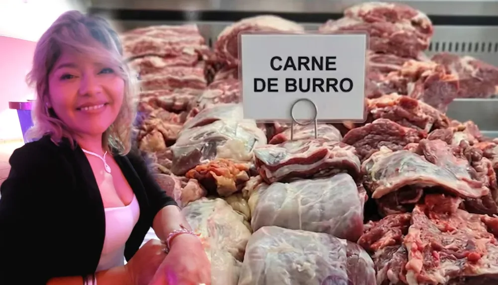 KARINA SALINA NUTRICIONISTA carne burro
