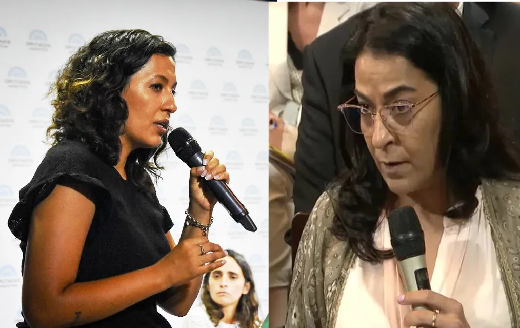 leila chaer carolina moises