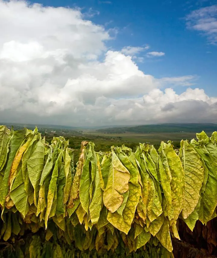 FB_IMG_1720059874605