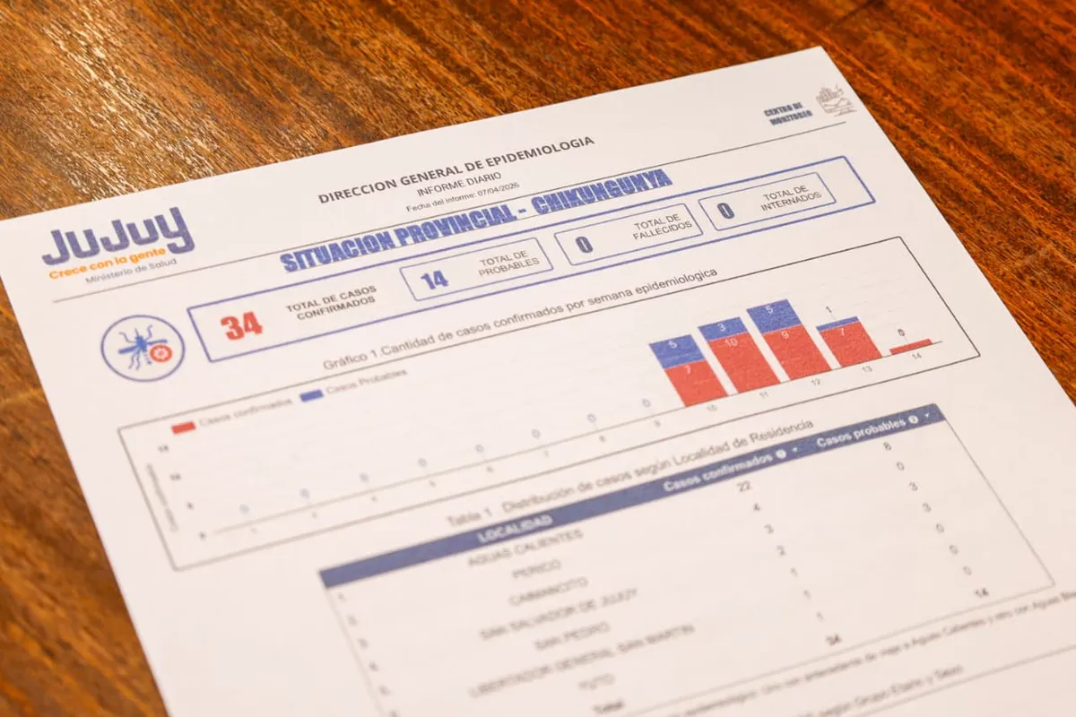 casos chikungunya jujuy