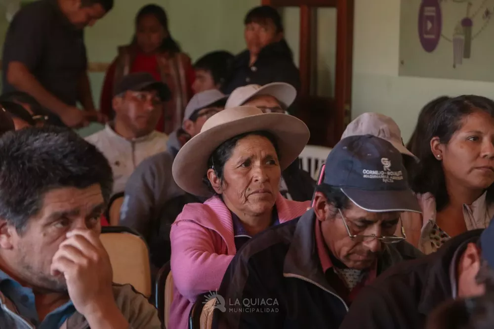 papa andina la quiaca3