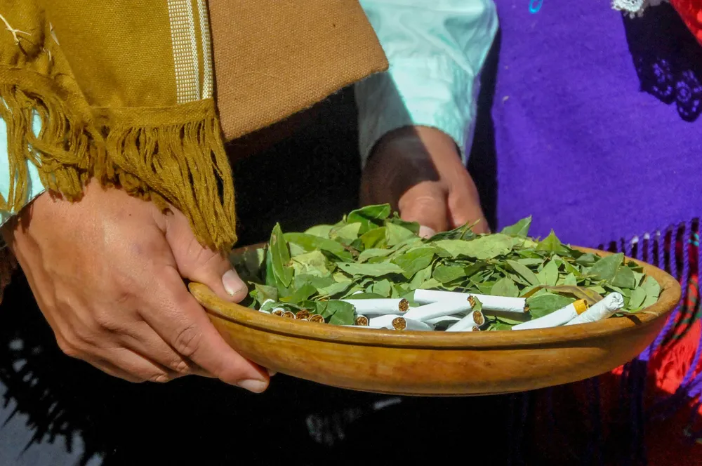 familias-jujeas-celebra_998490