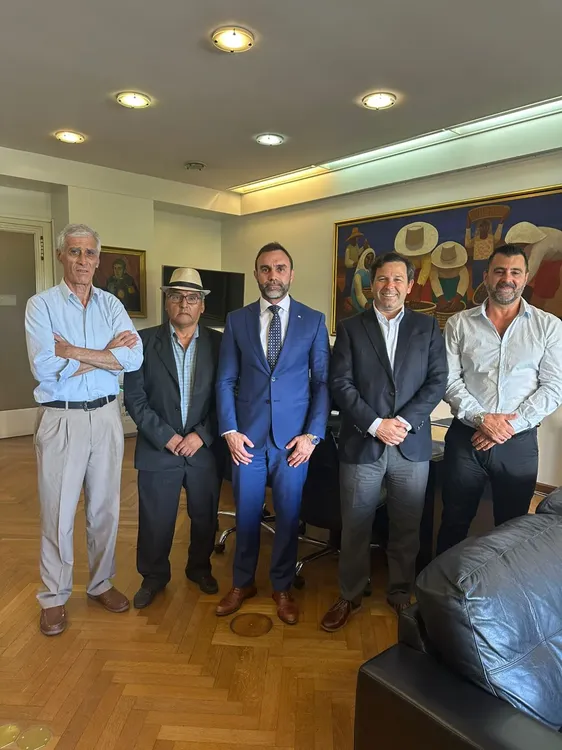 Altos hornos Zapla 2