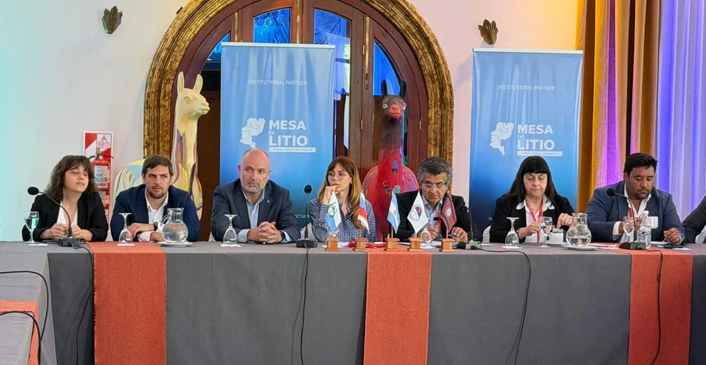 MESA LITIO JUJUY