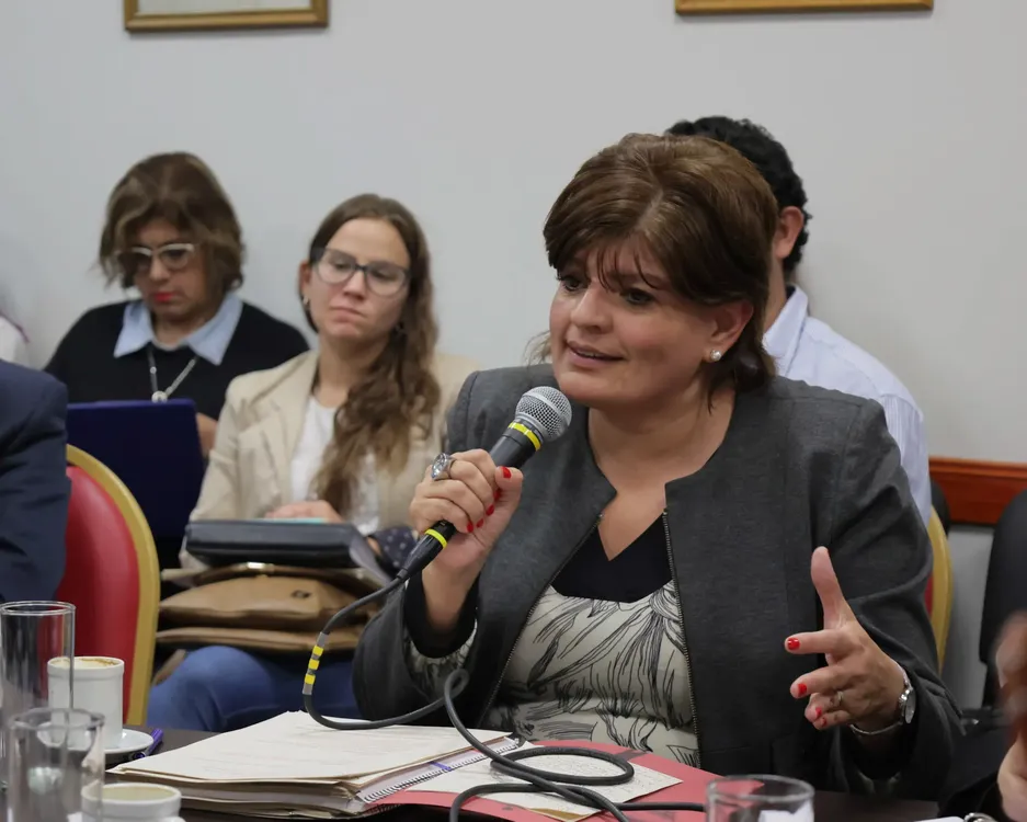 expertos gubernamentales tecnicos colegio (5)