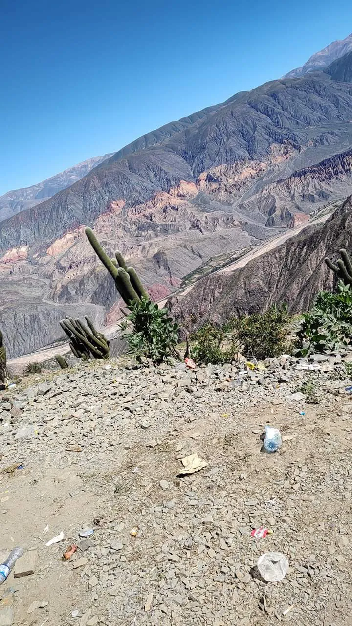 facebook punta corral 2024 (20)