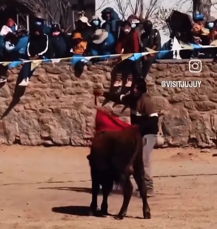 Screenshot_20240815-204302_Facebook