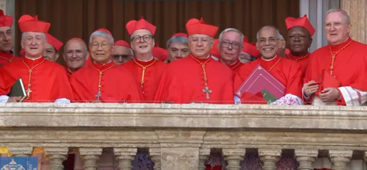 PAPAS NUEVO LEON XIV