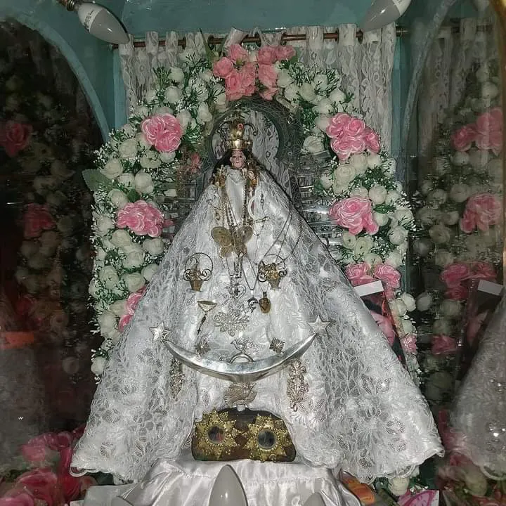 facebook punta corral 2024 (40)