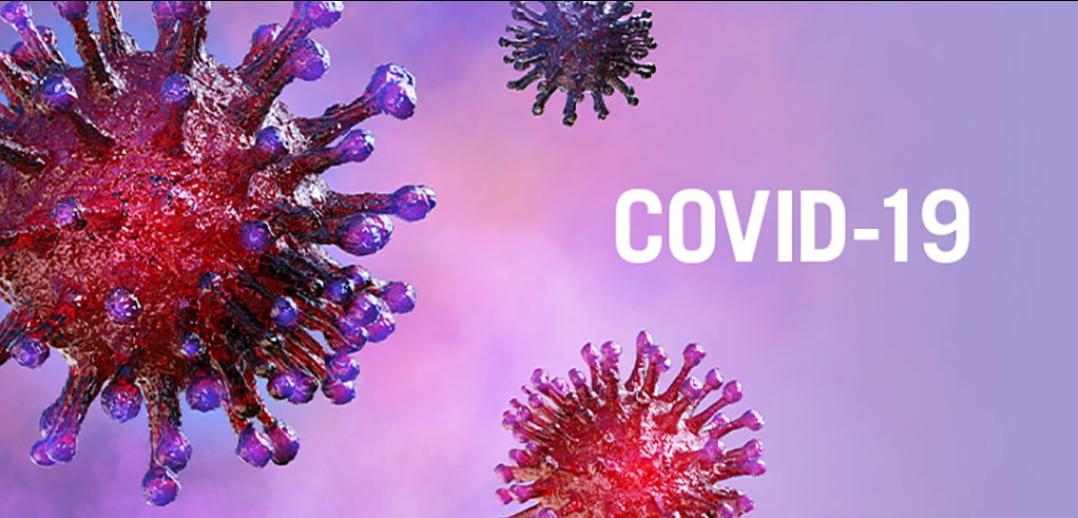 Screenshot_20220105-203452_Gallery