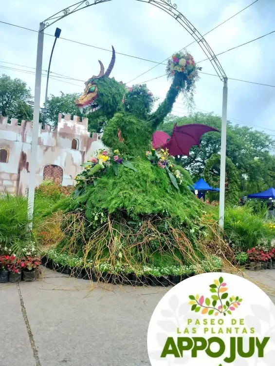 CONCURSO LA FLOR MAS BELLA3