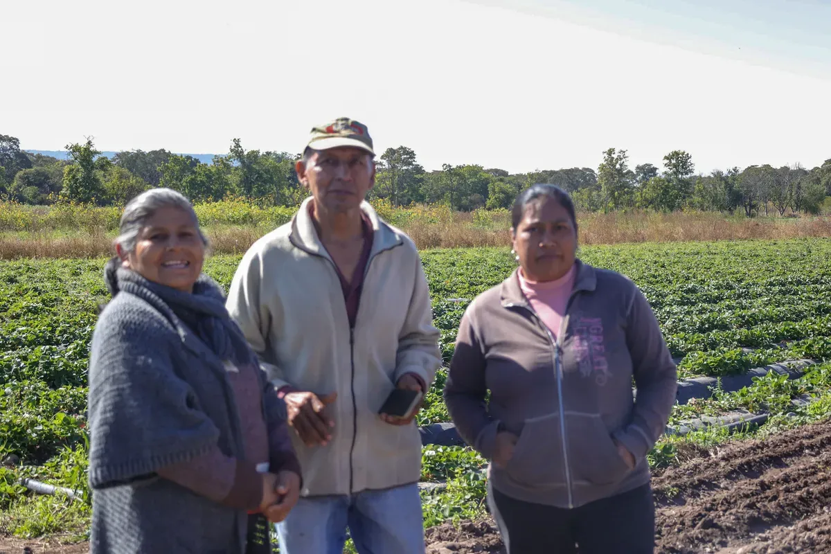 producción agroecológica con bioinsumos3