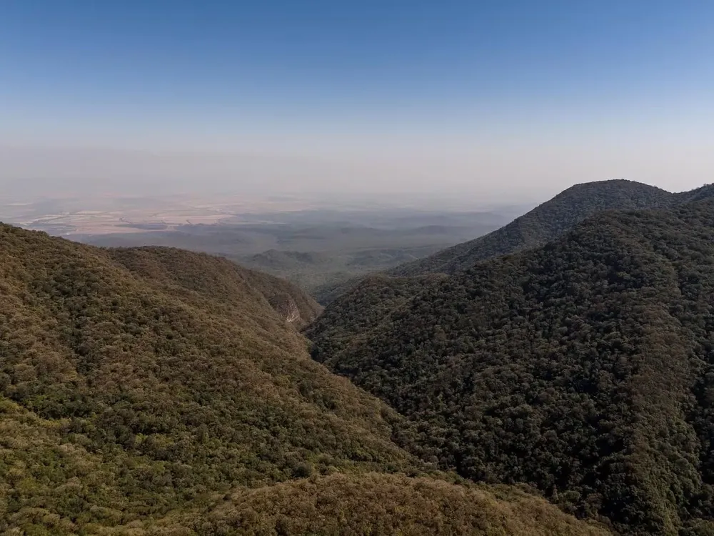FINCA LAS LAURAS A