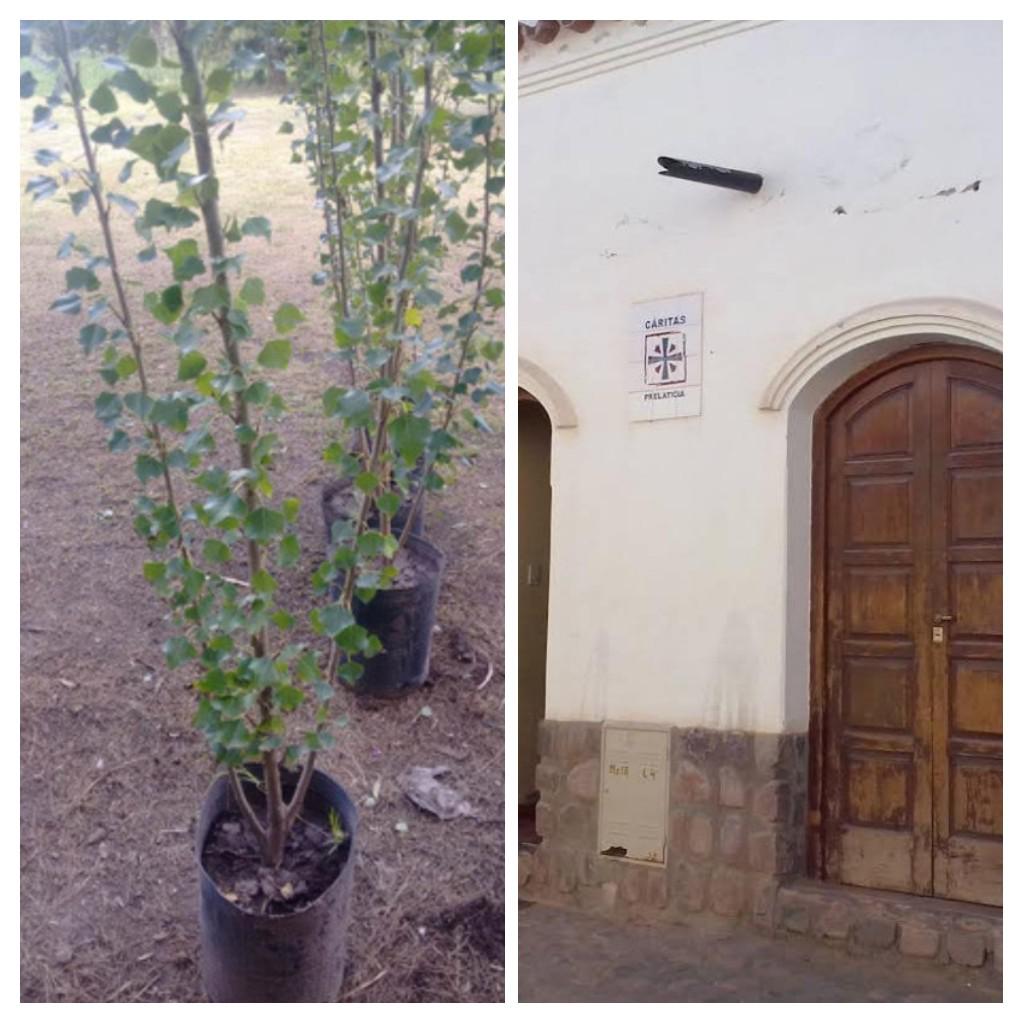 20210809_200436-COLLAGE