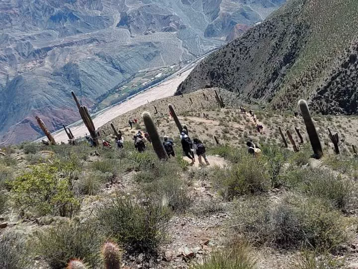 FB_IMG_1680454235866