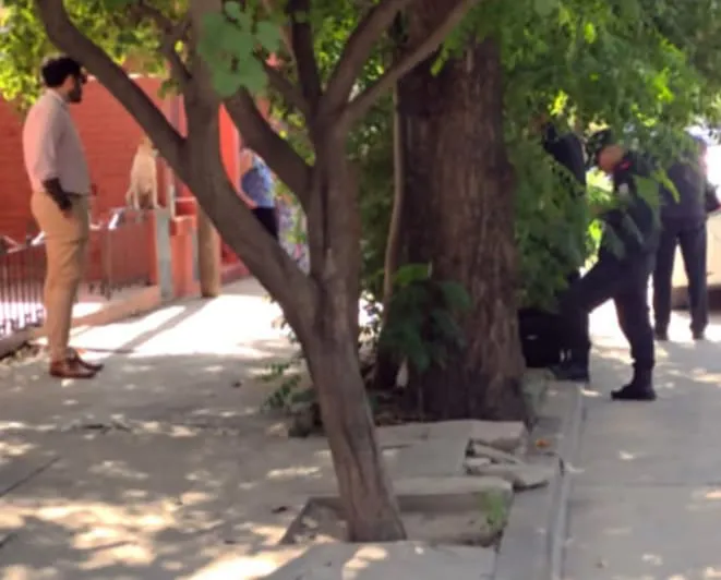 cuerpo san pedro trabajador