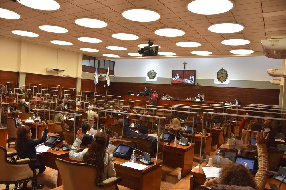 legislatura sesion especial  (1)