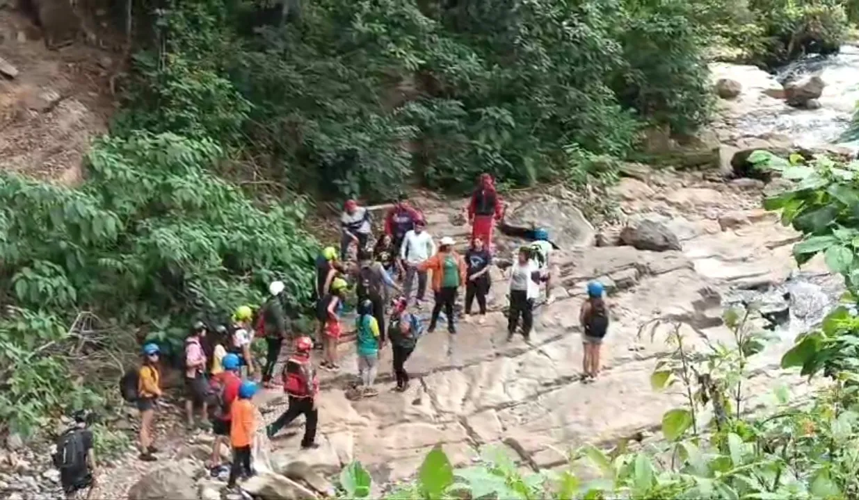 Screenshot_20240330-222634_Gallery