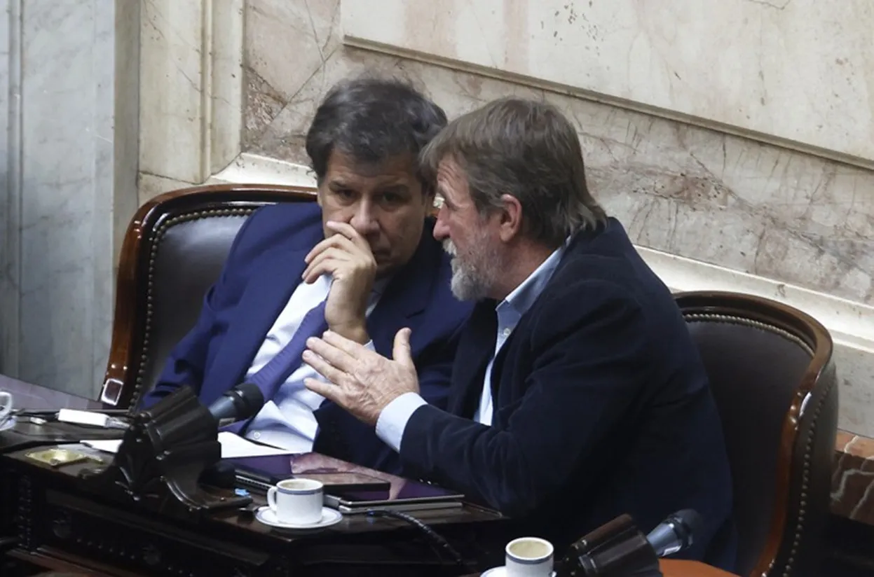 FACUNDO MANES JORGE RIZOTTI DIPUTADOS