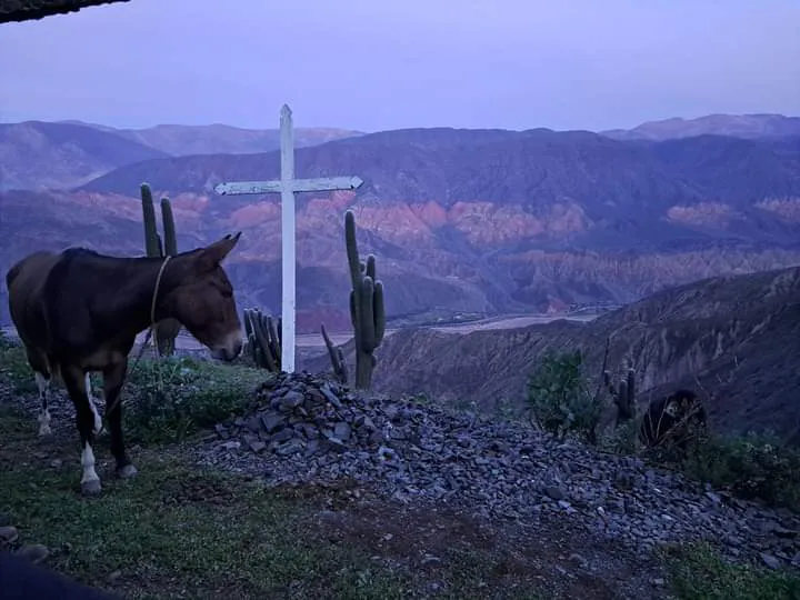 facebook punta corral 2024 (167)