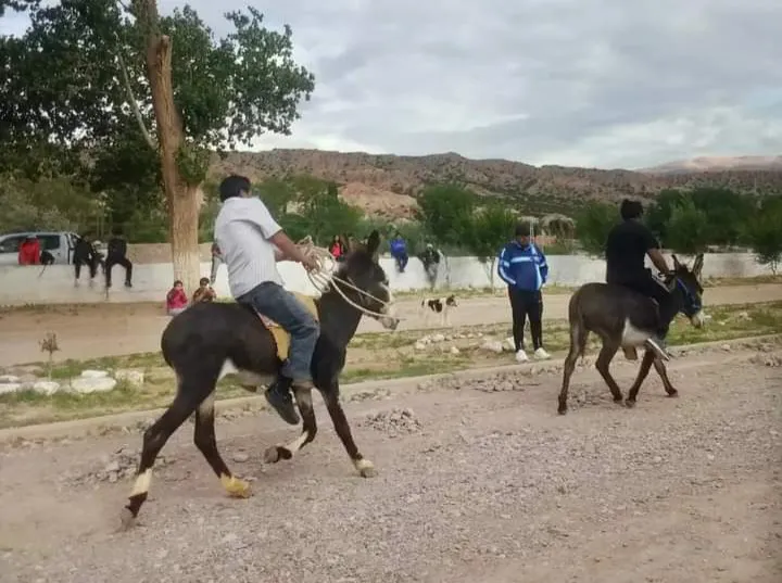 FB_IMG_1708522167604