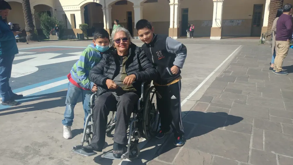 discapacidad voto