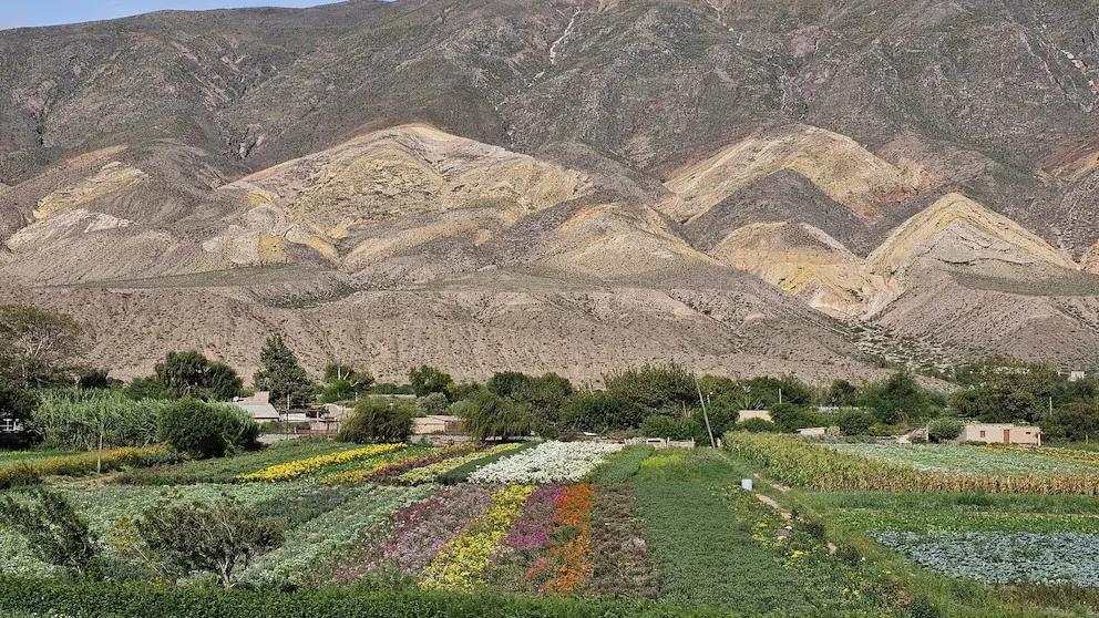 maimara jujuy turismo pueblo