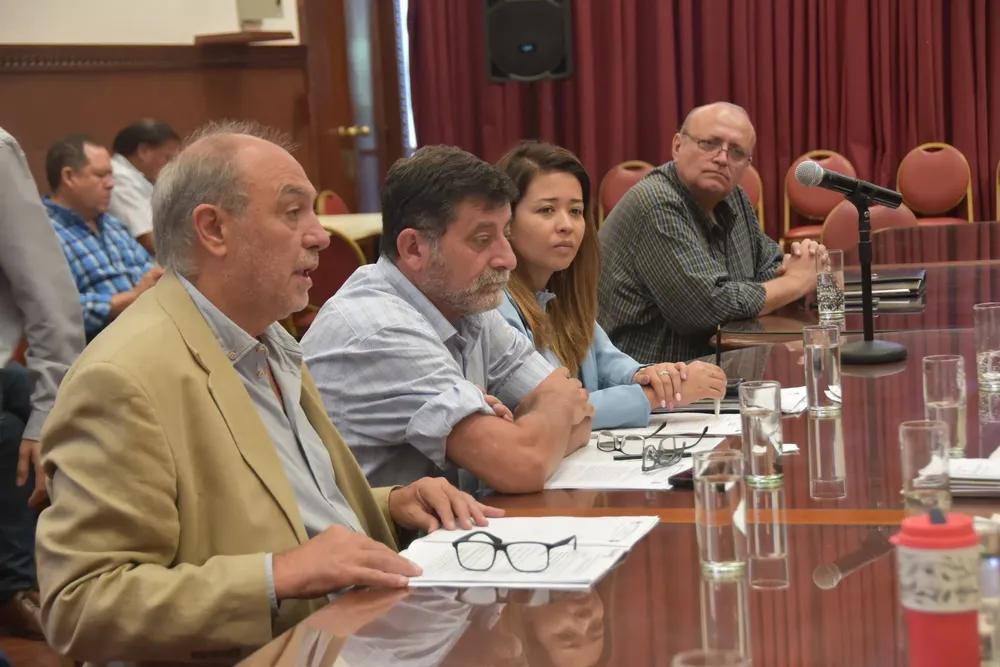 plenario de comisiones legislatura (7)