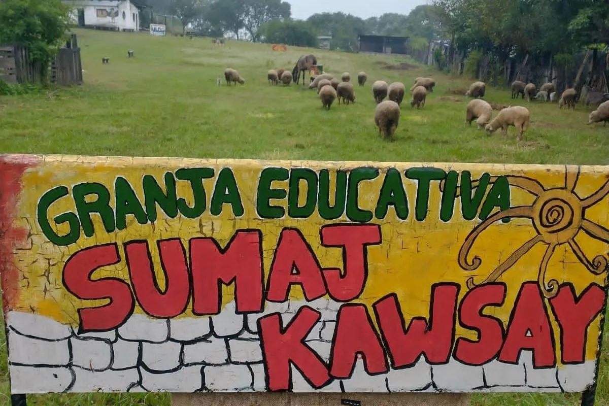 WhatsApp Image 2025-01-22 at 11.00.41