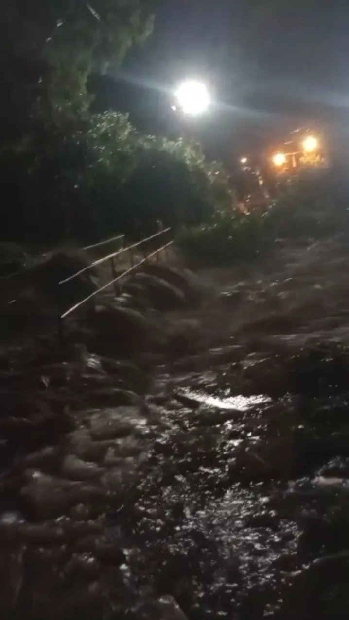 Screenshot_20240117-101755_WhatsApp