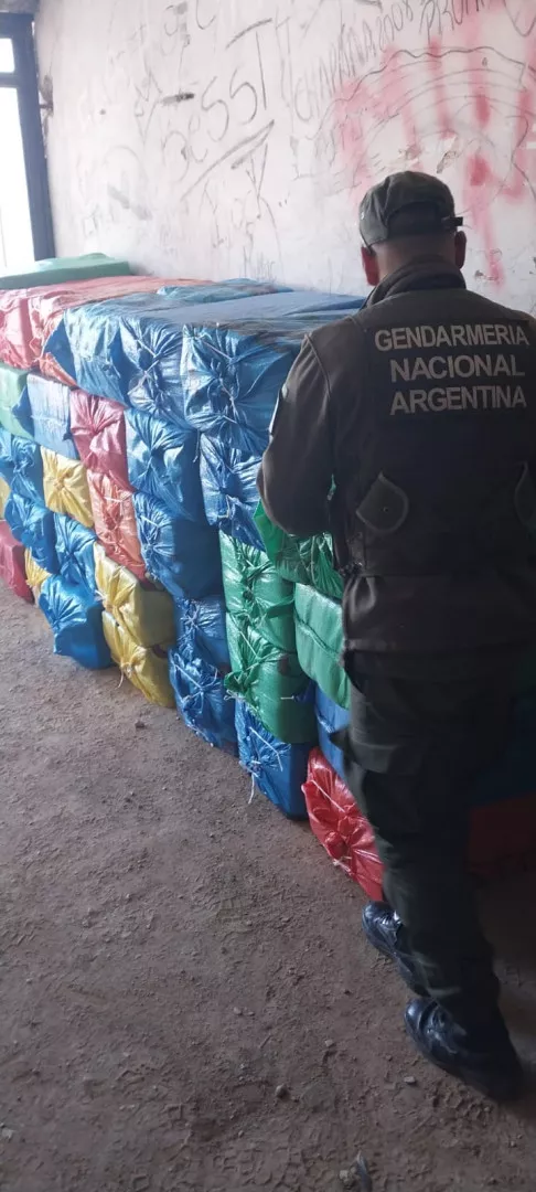 1.090_kg_hojas_de_coca_1