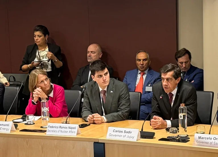 carlos sadir mineria litio