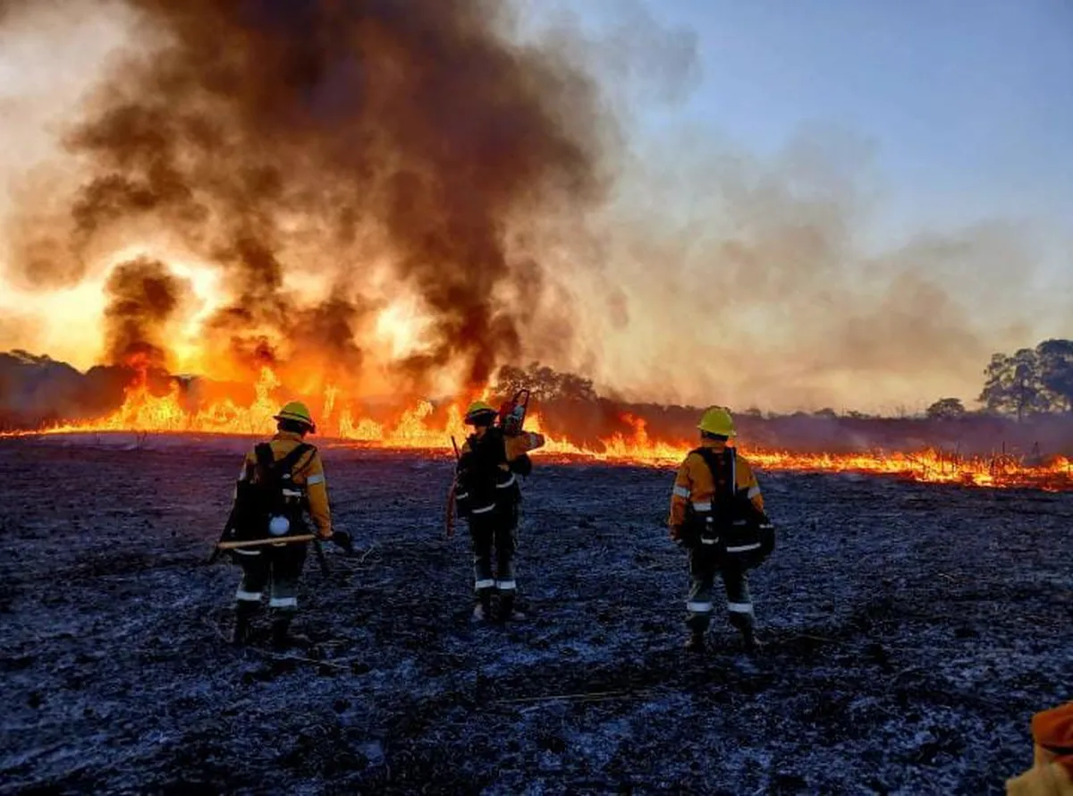 incendios-forestales-jujuy-la-responsabilidad-ciudadana-como-clave-prevenirlos