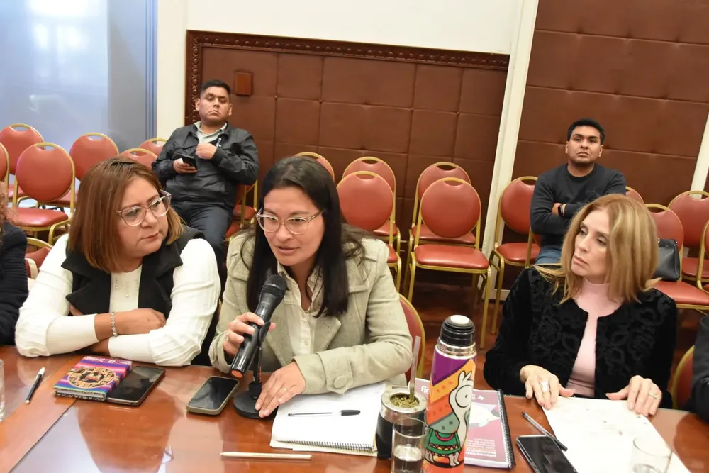 informe consejo provincial de la mujer legislatura1