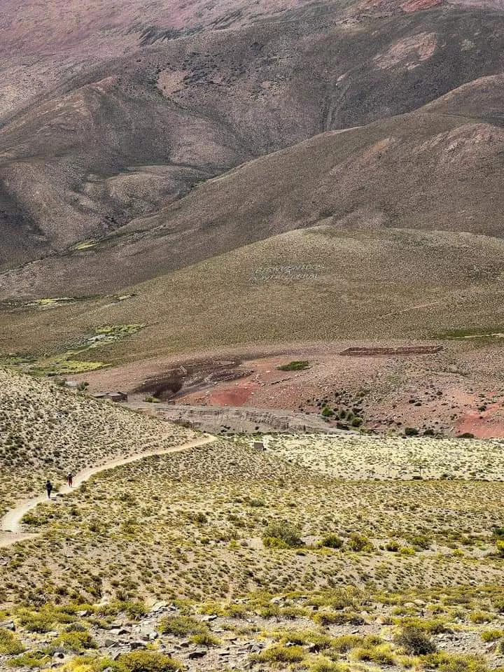 FB_IMG_1680454102990