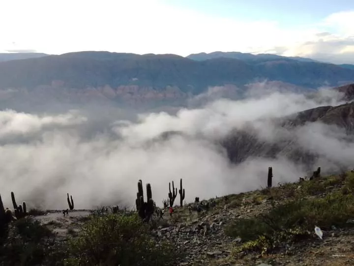 FB_IMG_1680454045041