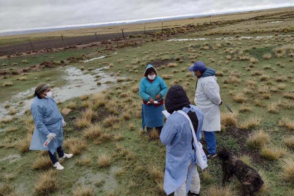 operativo santa catalina3