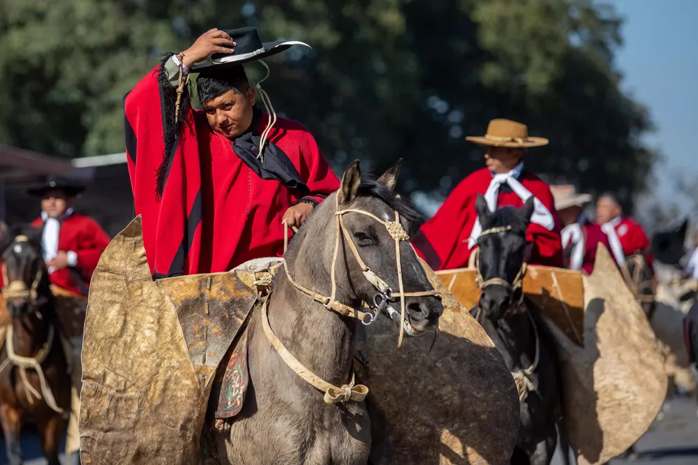 GAUCHOS GUEMES