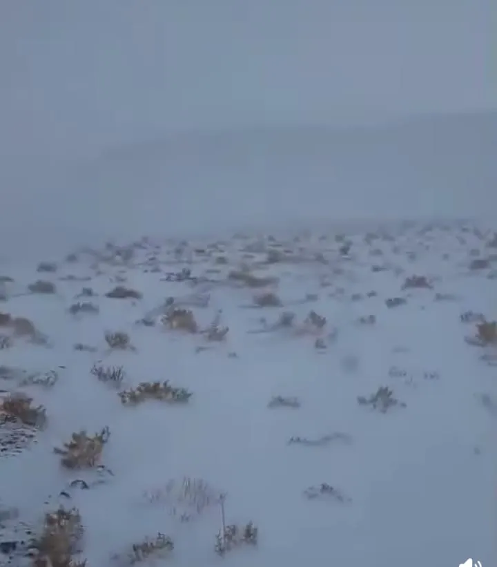 nevada volcan