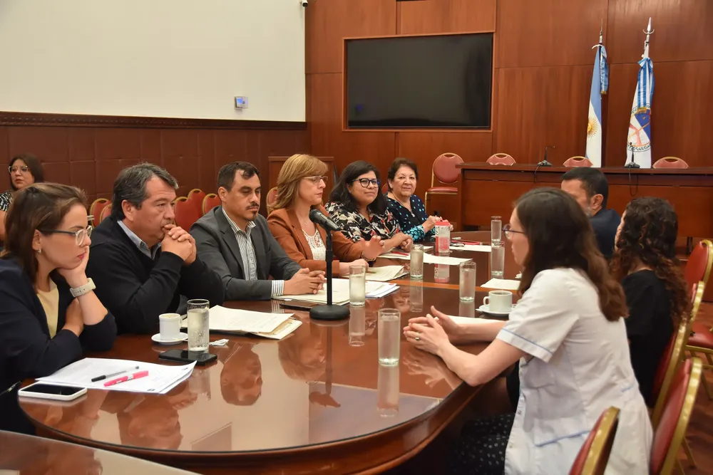 plenario de comisiones legislatura  (2)