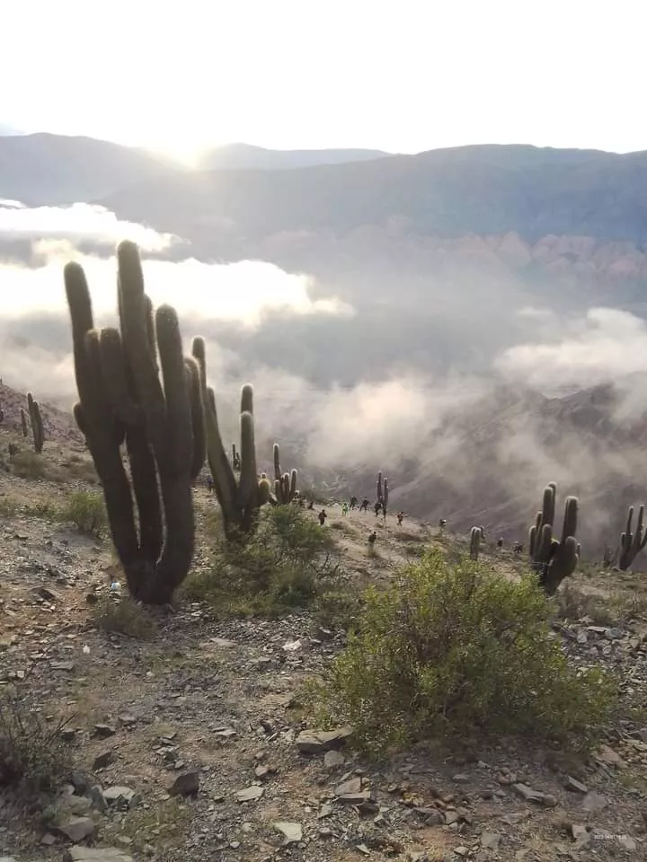 FB_IMG_1680454036272