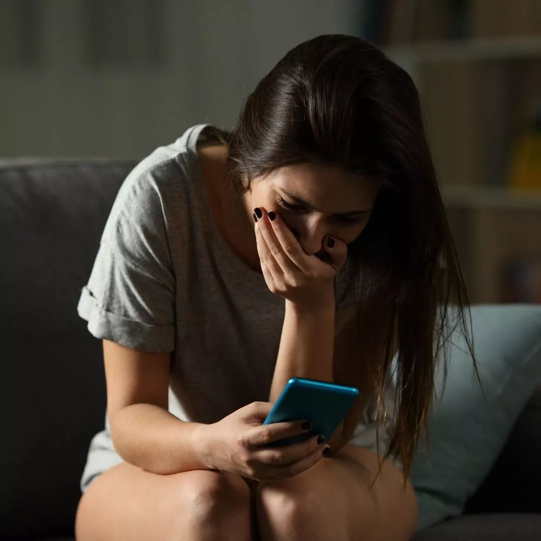 ciber acoso palpala1