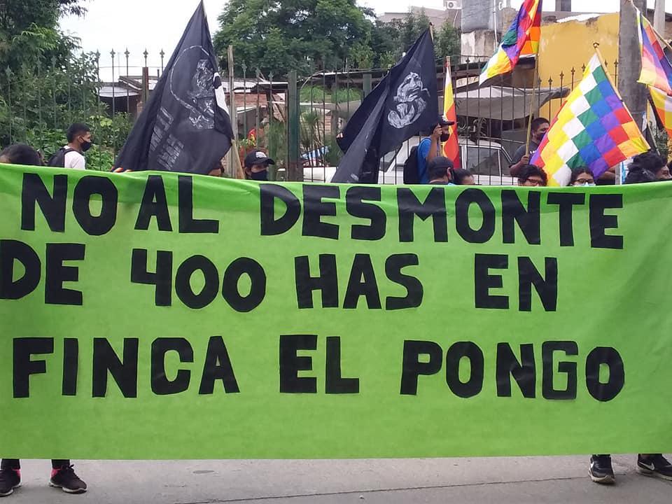 cambio de suelo finca el pongo1