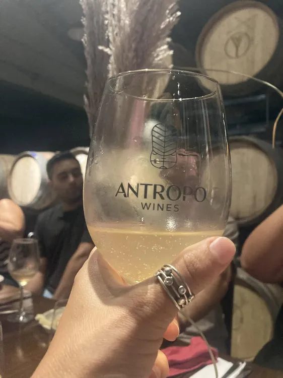 antopo wine bodega vinos3